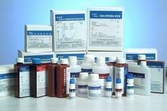 鼠抗人D-泛酸檢測單抗-研域(上海)生物科技