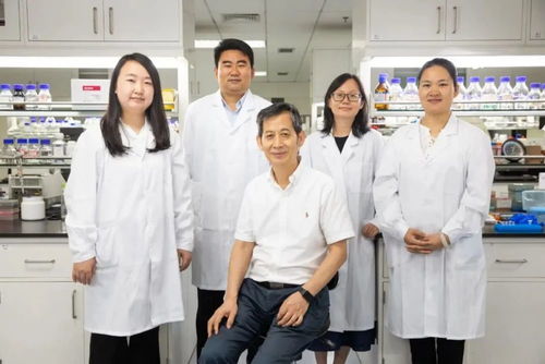 重大突破刷屏 中國實現(xiàn)二氧化碳合成淀粉,背后的合成生物技術是什么來頭