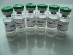 上海博華生物科技 創(chuàng)新驅(qū)動，引領生物科技未來