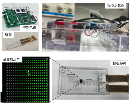 上海工研院微流控技術推進生物芯片研發(fā)，引領生物科技新浪潮